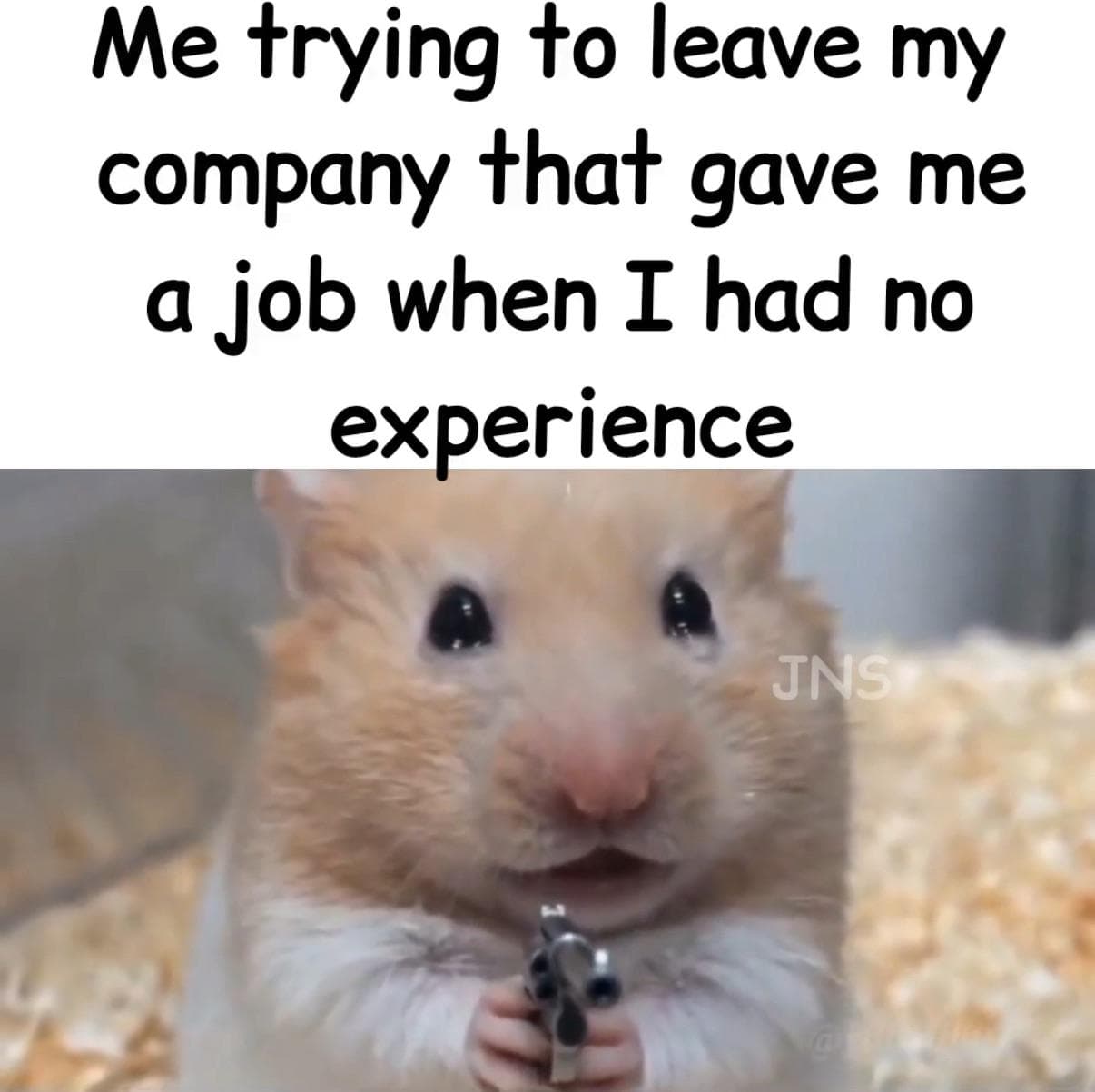 Me_irl
